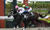 【太秦S結果】ハピが直線一気でV 約3年5か月ぶりの勝利