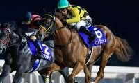 【川崎・鎌倉記念枠順】無傷3連勝中のホッカイドウ所属馬ベストグリーンは5枠5番 出走8頭