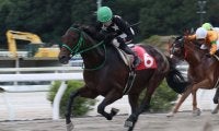 【高知・横浜特別】ブルーシンフォニー、40戦目で鮮やか5勝目…中団から突き抜け快勝