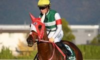 【先週のJRA抹消馬】重賞2勝馬ラヴェル、ダート5勝のキタノリューオーなど