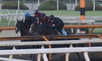 追い切りの手応え秀逸 アドマイヤクワッズが土曜東京で初陣/関西馬メイクデビュー情報