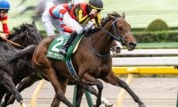秋華賞で史上最多タイの同一馬主GI・4連覇なるか