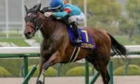 【秋華賞】桜花賞との2冠達成なら18年ぶり4頭目 エンブロイダリーがぶっつけ参戦だ