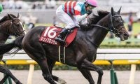 6歳以上は過去10年で苦戦傾向 富士Sは4歳馬に注目