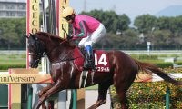 【競馬予想】波乱が多い秋華賞の狙い目を血統から分析　新星、人気薄でも注目すべき２頭は？