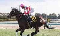 【競馬予想】秋華賞はカムニャックの「１強」も、好配当をもたらす伏兵２頭の大駆けに期待