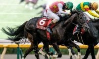 【東京HJ結果】ジューンベロシティが大接戦を制し連覇達成！