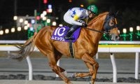 【大井・マイルグランプリ枠順】ダートグレード競走でも好走続くムエックスは2枠4番