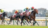【先週のJRA抹消馬】20年の京王杯2歳S覇者モントライゼ、昨春のアネモネSを制したキャットファイトなど