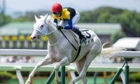 【アルテミスS想定騎手】マルガは武豊騎手、フィロステファニは川田将雅騎手