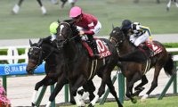 【AI予想・菊花賞】クラシック最終戦は前走3着以内馬に注目!? 人工知能はポテンシャルの高さを十分に示す3頭を高評価