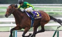 C.ルメール騎手の菊花賞歴代最多タイ5勝目なるか 初勝利の2016年を振り返る