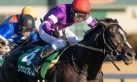 友道康夫厩舎の5.9億円馬 エムズビギンが菊花賞デーに新馬勝ちなるか
