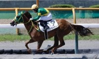 【エーデルワイス賞】JRA勢4頭、地元北海道勢との激突へ…2歳牝馬ダート女王決定戦、出走予定馬発表