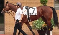 金子真人オーナーゆかりの良血馬 4歳のコキーヌが1年2カ月ぶりの実戦で初勝利狙う
