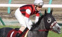 半兄は香港G1・2勝のウインブライト ウインスターリングがデビュー勝ち狙う