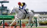 武豊騎手 今週の騎乗馬…白毛馬マルガと重賞参戦