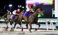 【ブリーダーズカップ2025】フォーエバーヤングら日本馬がデルマー競馬場へ無事到着　