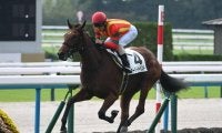 【京都5R新馬戦結果】アドマイヤマーズ産駒アーリーハーベストが快勝