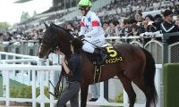 【競馬予想】上位混戦の菊花賞で最も不気味な存在--舞台を知り尽くす名手が再び絶妙な逃げを見せるか