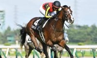 【今日の注目ポイント】3歳クラシック最後の一冠・菊花賞