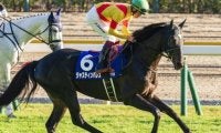 イクイノックス・ドウデュース世代4連勝へ グレード制導入後初の6歳Vとなるか