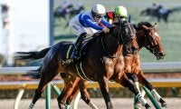 【AI予想・天皇賞(秋)】今年の3歳馬は人気先行の恐れあり!? 経験豊富な古馬3頭に期待を寄せる人工知能
