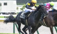 【紅葉S】福永祐一厩舎の2.9億円馬 アスクセクシーモアが連勝でオープン入りなるか