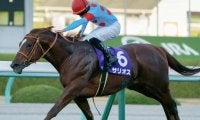 半兄は朝日杯FS覇者のサリオス サリエンテがC.デムーロ騎手でデビュー勝ち狙う