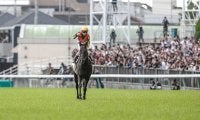 香港国際競走の予備登録馬が発表 クロワデュノールが2レースにエントリー