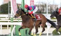 【船橋・JBCレディスC枠順】JpnI初制覇狙うテンカジョウは2枠2番、地元の期待馬プラウドフレールは4枠6番