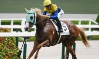 【京王杯2歳S想定馬・騎手】ダイヤモンドノット、ユウファラオなど15頭