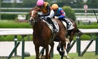 【今日の注目ポイント】京都で2歳牝馬GIII・ファンタジーS