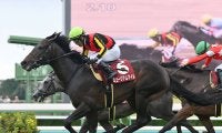 【競馬予想】天皇賞・秋で注目は「今年勝利が多い」血統　牝系が魅力の６歳馬も本格化の気配