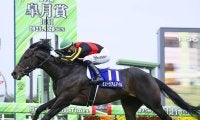 【競馬予想】天皇賞・秋で人気の３歳馬　勝機あるのはミュージアムマイルか、マスカレードボールか