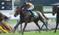 【ファンタジーS結果】フェスティバルヒルが差し切り重賞初V 兄は皐月賞馬ミュージアムマイル