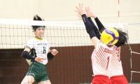 春高バレー千葉県決勝、男子は市立船橋×東京学館船橋　女子は敬愛学園×市立船橋