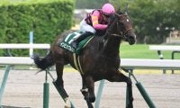 【米・BCターフスプリント結果】日本勢は着外 3歳牝馬シソスパイシーが完勝