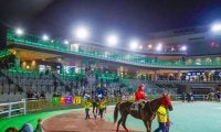 3日は船橋＆門別でダート競馬の祭典「JBC」 一日にダートグレード重賞4連発！