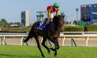 【天皇賞・秋】C.デムーロ「いい競馬してくれた」レース後ジョッキーコメント