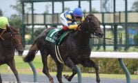 【船橋・JBCスプリント注目馬】ダ1000mで争われる電撃JpnI戦 究極のスピード勝負を制すのは