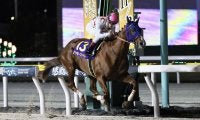 JBC開催船橋競馬が売得金レコードを更新…1日で83億円超、JBCクラシックも歴代最高に