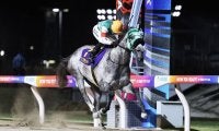 【地方競馬】フェブランシェが総合優勝…グランダム・ジャパン2025古馬・秋シーズン