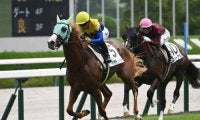 【京王杯2歳S出走馬・騎手確定】ダイヤモンドノット＆C.ルメール騎手、シャオママル＆A.プーシャン騎手など16頭