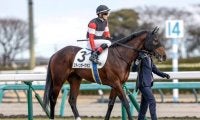 【AR共和国杯出走馬・騎手確定】スティンガーグラス＆C.ルメール騎手、ホーエリート＆戸崎圭太騎手など18頭