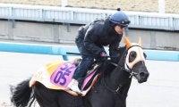 【京王杯２歳Ｓ】「状態面は前回を使って上がって」伊藤伸調教師も自信　コックオーヴァンが最終調整