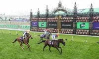 【豪クイーンエリザベスS】ゴールデンスナップは3着に好走…不良馬場で勝負根性を発揮