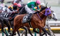 	【AI予想・AR共和国杯】今年は4歳馬が主役になる!? 重賞級のポテンシャルを秘める人工知能の本命馬