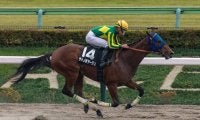 【オキザリス賞】サトノボヤージュが５馬身差圧勝