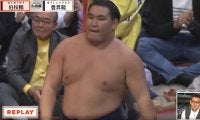 「絶対ダメ。攻め間違い」元若乃花、金星配給の豊昇龍に苦言 一体、何を間違ったのか…